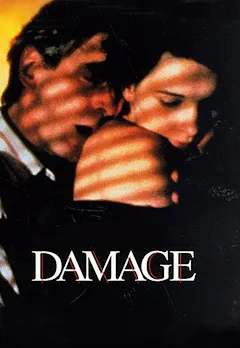 فيلم Damage 1992 مترجم